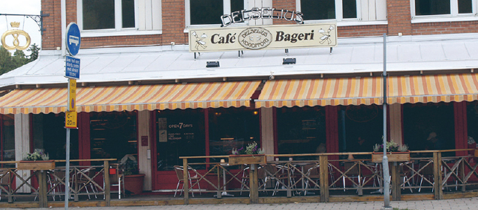 delselius_dustcontrol