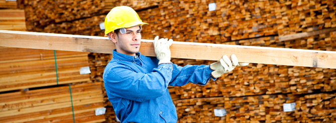 Wood and Plastic Industry and Dustcontrol